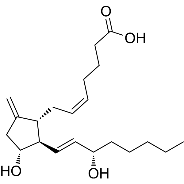 9-deoxy-9-methylene Prostaglandin E2 61263-32-9